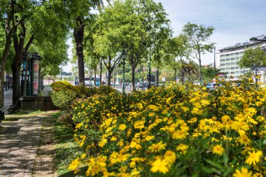  Lizbon şehir merkezinde Av Liberdade, Portekiz