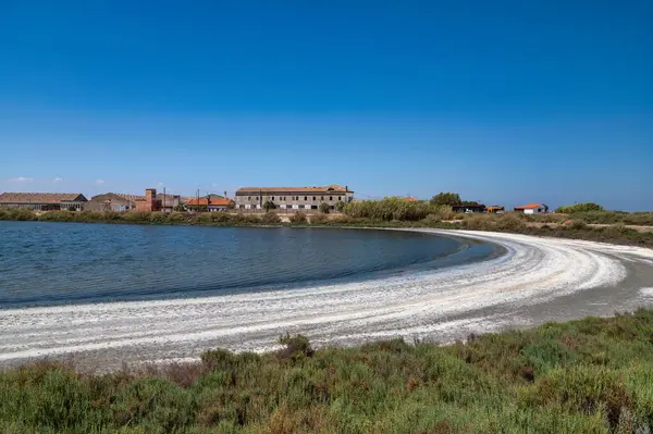 Samouco Saline Foundation Ambiental Preservation Alcochete Portugal — Stok fotoğraf