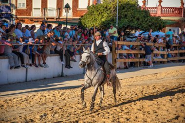 Alcochete, Portugal. 13 August 2022. Bull festival in Alcochete Portugal
