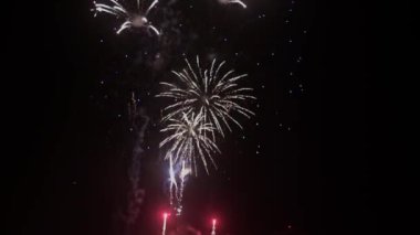 colorfull fireworks against black sky 