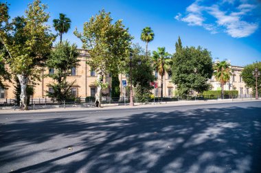 Sevilla, İspanya. 27 Ağustos 2022 İspanya 'nın merkezindeki Sevilla manzarası