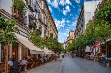 Sevilla, İspanya. 27 Ağustos 2022 İspanya 'nın merkezindeki Sevilla manzarası