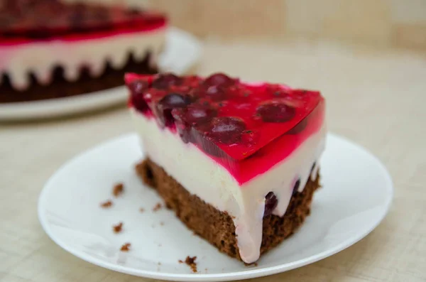 a closeup of delicious chocolate cake