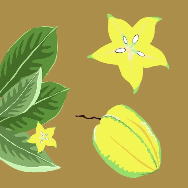 Carambola illüstrasyonu, yapraklı tropikal meyveler, el yapımı arka plan 