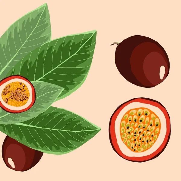 Tutku meyveleri, yapraklı tropikal meyveler, el yapımı arka plan. 