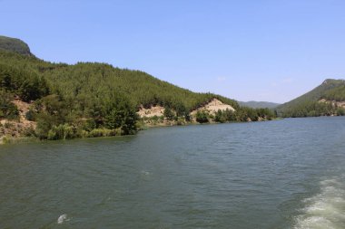 Güneşli bir günde, sakin bir turkuaz denizin kıyısındaki yeşil tepeler mavi gökyüzünün altında, bir teknenin manzarası