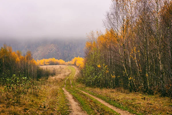 Sonbahar Dağlarında Kirli Yollar Sarı Altın Renkli Ağaçlar Bulutlu Gri — Stok fotoğraf