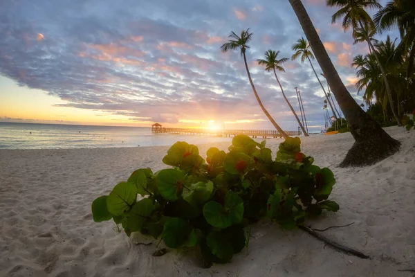 Erstaunliche Sonnenuntergang Blick Auf Die Karibik Tropischen Paradies Strand Mit — Stockfoto