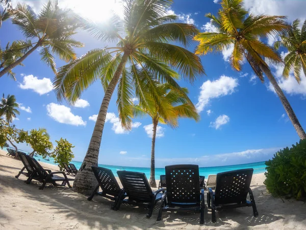 Erstaunliches Tropisches Paradies Strand Mit Weißem Sand Kokospalmen Meer Und — Stockfoto