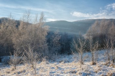 Scenic winter landscape with frosted grass and trees, mountains and blue sky, outdoor travel background, Carpathians