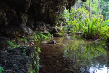Santo Domingo 'da üç göz mağarası, Los Tres Ojos Ulusal Parkı, Dominik Cumhuriyeti. Kireçtaşı mağarasının manzarası, güzel göl ve tropikal bitkiler, doğa manzarası, dış seyahat arka planı.