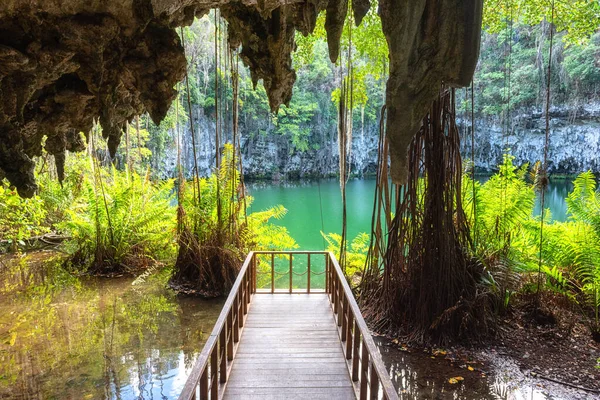 Santo Domingo 'da üç göz mağarası, Los Tres Ojos Ulusal Parkı, Dominik Cumhuriyeti. Kireçtaşı mağarasının manzarası, güzel göl ve tropikal bitkiler, doğa manzarası, dış seyahat arka planı.