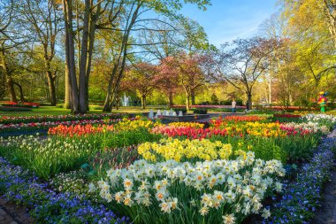 Baharda kraliyet bahçesinin keukenhof 'u, farklı çiçekli güneşli parkın manzarası ve parlak yeşil çimenler ve çiçek açan ağaçlar, güzel manzara, açık hava seyahati ve botanik geçmişi, Hollanda