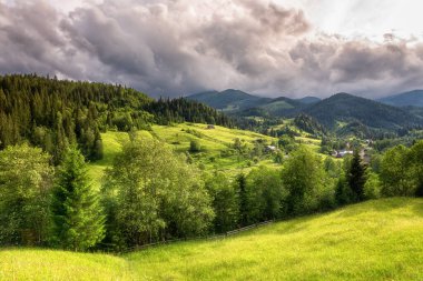 Carpathian dağlarında yaz mevsimi. Yeşil alp çayırının manzarası. Taze çimenler, dağ sıraları ve bulutlu dramatik fırtınalı gökyüzü. Güzel manzara, dış dünya seyahati arka planı.