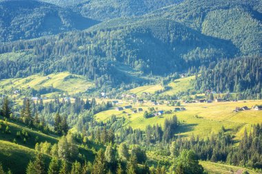 Carpathian dağlarında yaz mevsimi. Yeşil dağ tepesinin manzarası. Taze çimenler ve ağaçlar, güzel bir manzara, arka plan gezisi.