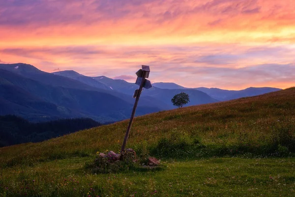 Niesamowity Krajobraz Górski Zachodu Słońca Widok Letnią Łąkę Alpejską Pasmo — Zdjęcie stockowe