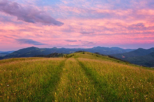 素晴らしい夕日の山の風景 夏の高山草原 山の範囲と雲と色の空の景色 自然の屋外旅行の背景 カルパチア生物圏保護区 — ストック写真
