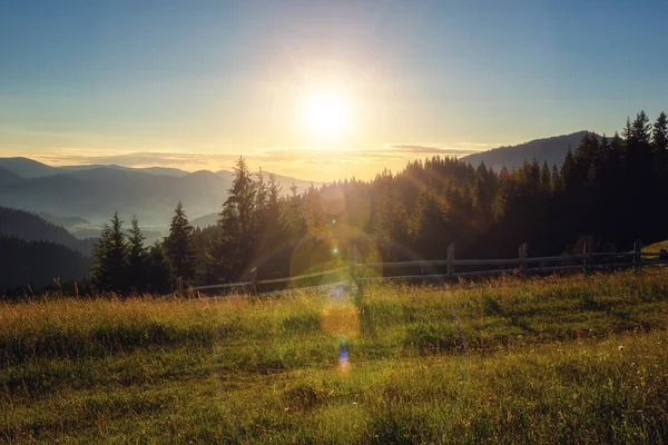 Lato Karpatach Malowniczy Widok Słoneczną Alpejską Łąkę Świeżą Trawą Pasmem — Zdjęcie stockowe