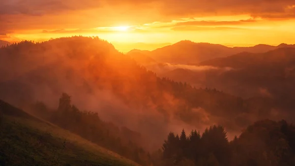 Malowniczy Widok Jesienne Alpy Wschodzie Słońca Piękny Krajobraz Zalesionymi Górami — Zdjęcie stockowe
