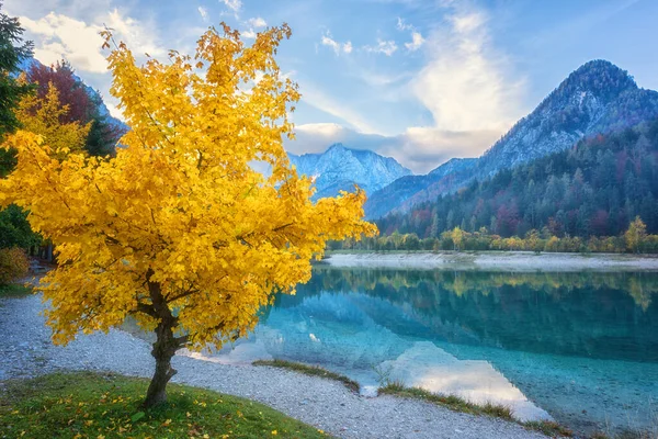 透き通った水 黄色の木 山の峰 雲と青空 素晴らしい秋の風景 屋外旅行の背景を持つトリグラフ国立公園のヤスナ湖 Kranjska強羅 スロベニア — ストック写真