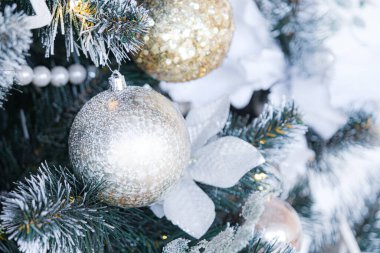 Yakın plan Noel ağacı arka planı, seçici odak, yüksek anahtar