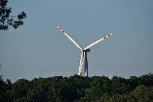 Windturbine Uitsteekt Van Achter Het Bos Havik Rond Zomer — Stockfoto