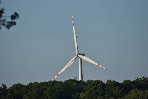 Turbina Eólica Que Sobresale Detrás Del Bosque Halcón Alrededor Del —  Fotos de Stock