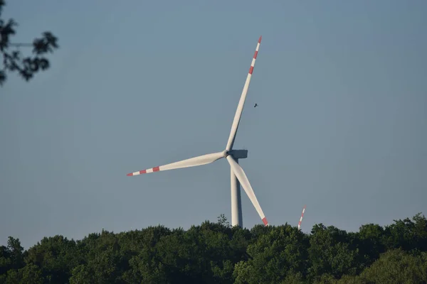 Windturbine Uitsteekt Van Achter Het Bos Havik Rond Zomer — Stockfoto