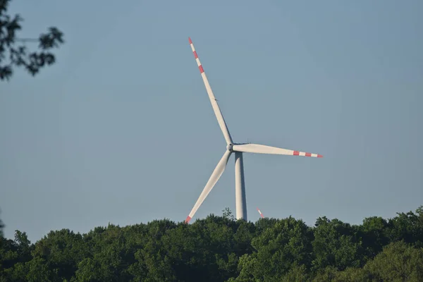 Turbina Eólica Que Sobresale Detrás Del Bosque Halcón Alrededor Del —  Fotos de Stock