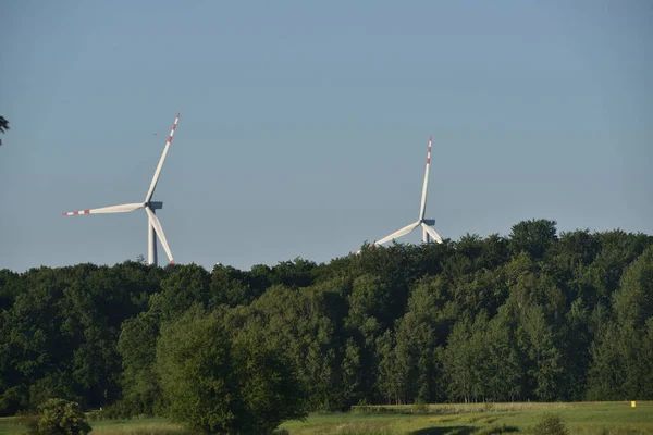 Windturbines Steken Uit Van Achter Het Bos — Stockfoto