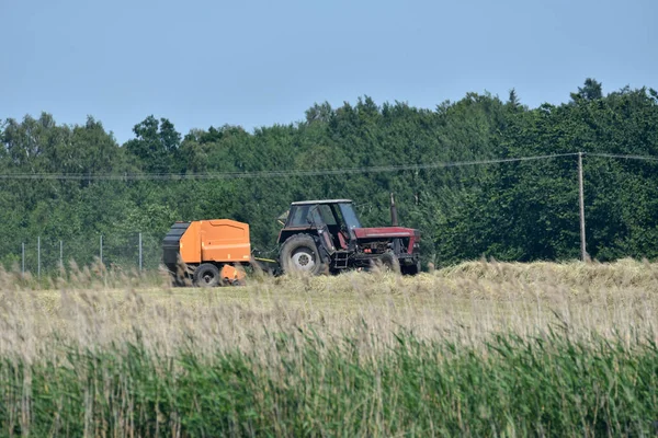 Ursus Tractor Longer Produced Hay Mowing Meadow — Zdjęcie stockowe