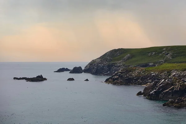 SALTEE ISLAND, ÍRORSZÁG, Saltee-szigetek partja, tele madarakkal naplementekor — Stock Fotó