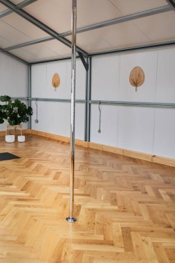 İnsansız direk dansı stüdyosu. Dikey formatta dans barı. Kimse.