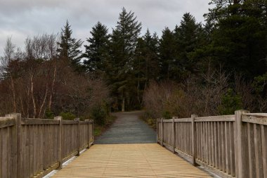 Glenveagh Ulusal Parkı, Donegal Şirketi. Dağlar arasındaki göl manzarası. Bulutlu gökyüzü ile dağ sahnesi.
