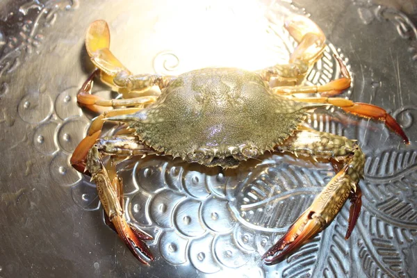 Crabe Vivant Brillant Crabe Des Fruits Mer Frais Sur Rivage — Photo