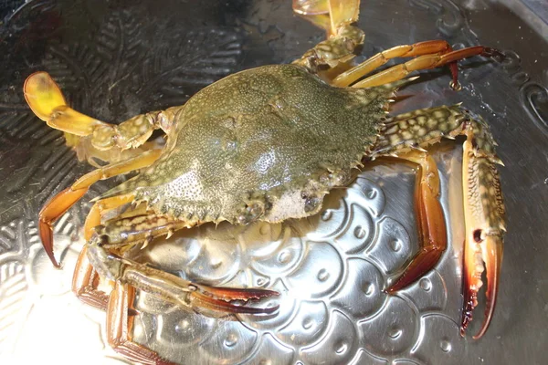 Nourriture Océan Rivage Nourriture Océan Rivage Crabe Animal Belle Peau — Photo