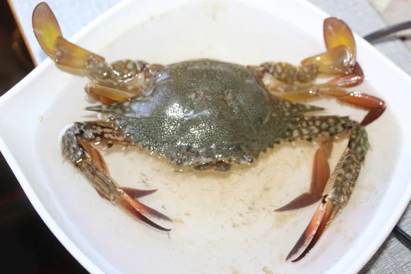 Food Ocean Shore Food Ocean Shore Crab Animal Beautiful Skin — Stock Photo, Image