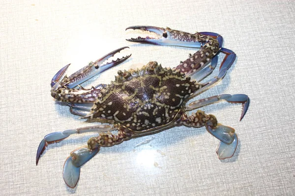 Peau Bon Regards Océan Vivant Crabe Brillant Crabe Fruits Mer — Photo