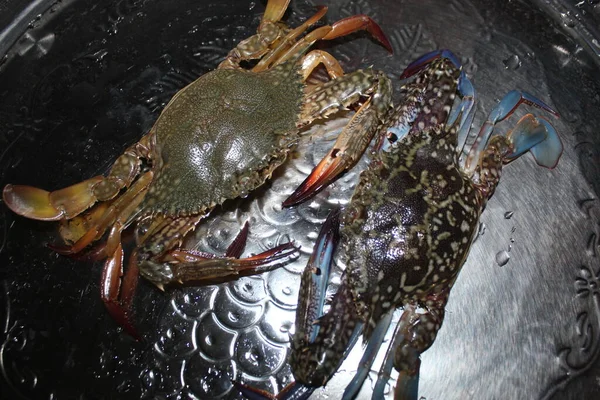 Peau Beau Regards Couple Océan Vivant Crabe Brillant Crabe Fruits — Photo