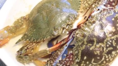 Okyanusta taze yengeç avı yuvarlanırken masa üstü kavramsal çekim