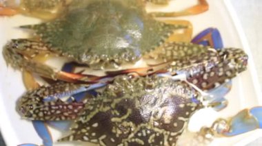 Okyanusta taze yengeç avı yuvarlanırken masa üstü kavramsal çekim