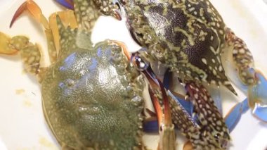 Güzel, sağlıklı bir çift yengeç sanatsal görünür ve okyanus kıyısından canlı avlanır.