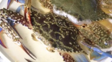 Güzel, sağlıklı bir çift yengeç sanatsal görünür ve okyanus kıyısından canlı avlanır.