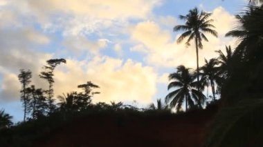 Caraga Surigao del Norte Filipinleri 'nde bir sahil şeridinde deniz kenarındaki bir rıhtımda Doğa Kıyısı