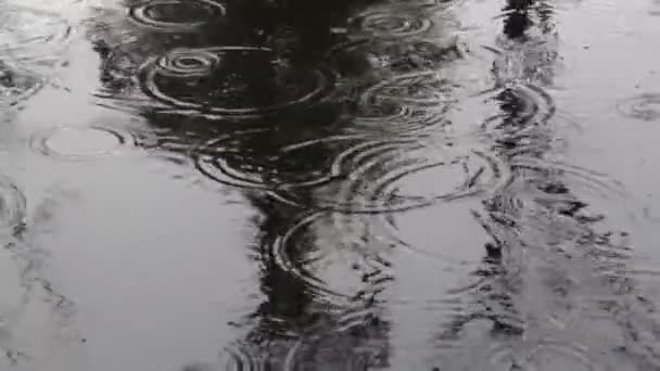 Raindrops Rippling Dark Surface Rainy Day — Stockvideo