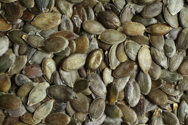 Yukardan yakın çekim kabak çekirdeği yığınının üzerinde.