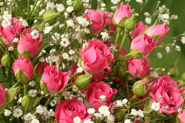 Букет Маленьких Розовых Роз Зеленом Фоне Крупный План — стоковое фото