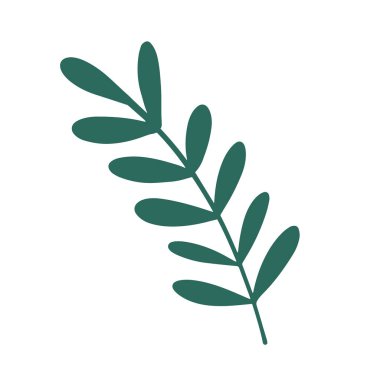 Basit bir el çizimi, pürüzsüz yaprakları olan yeşil bir dal. Çiçek tasarım elementi beyaz arka planda izole edildi. Vektör illüstrasyonu