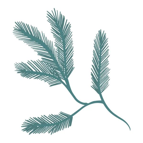 Tannenzweig Isoliert Auf Weißem Hintergrund Einfache Handgezeichnete Botanische Minimalistische Weihnachten — Stockvektor