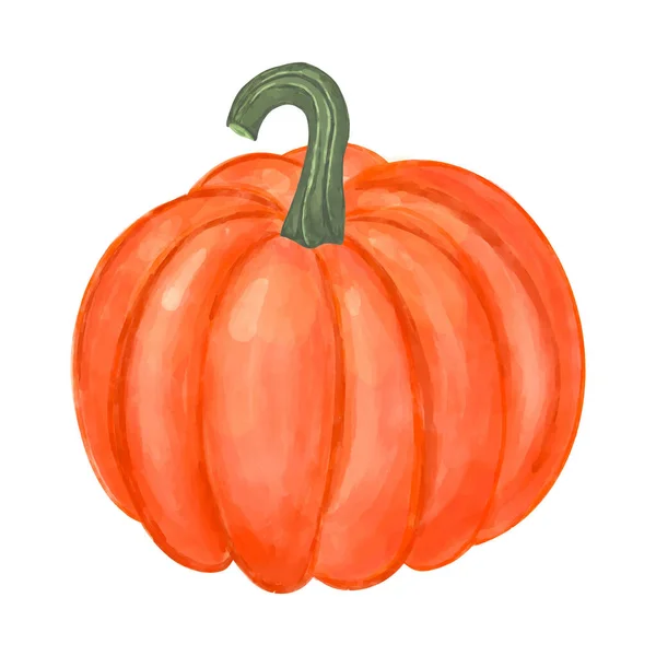 Watercolor Textured Hand Drawn Pumpkin Vector Illustration Isolated White Background — 스톡 벡터